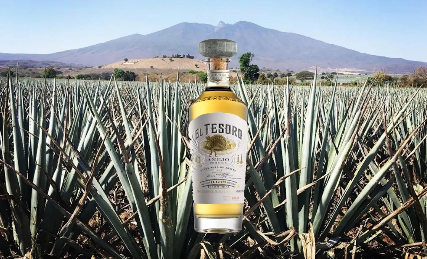 El Tesoro Paradiso Review: The Fusion of Tequila Excellence